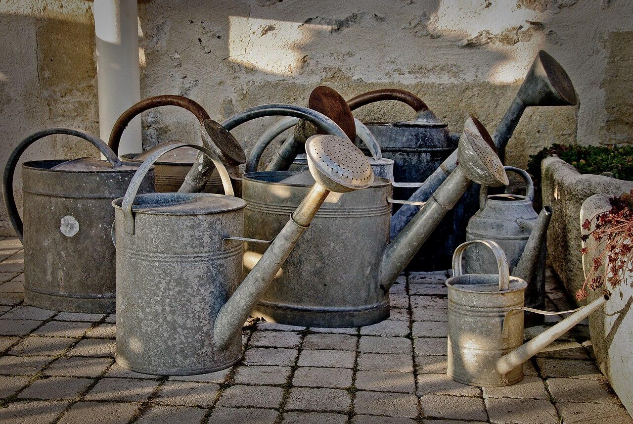 Galvanised metal watering can with a long spout